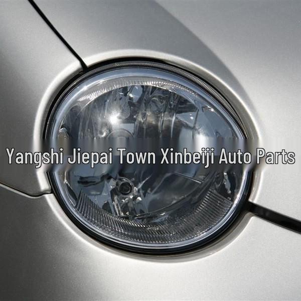 Chery QQ Headlight Lens for QQ3/QQ308/QQ311 - PC Material Lens Housing