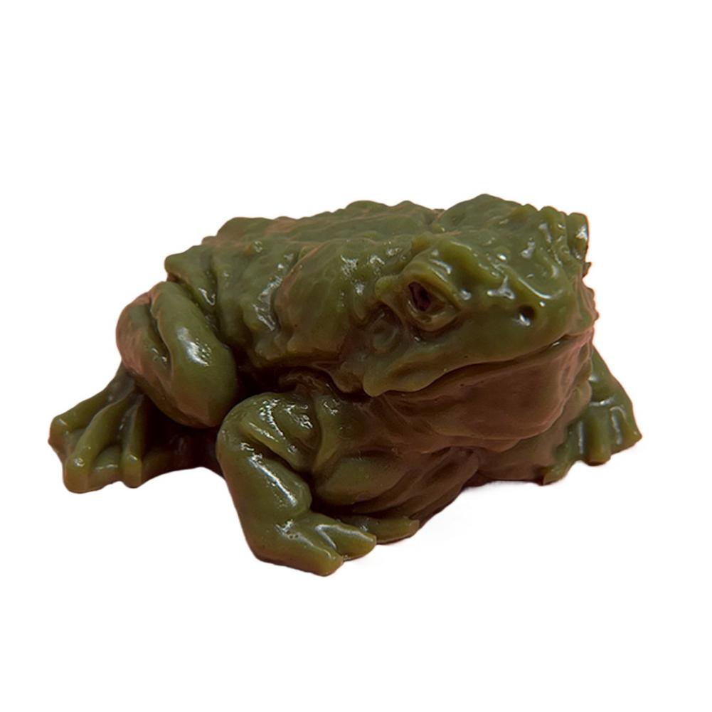 

Игрушка-антистресс Лягушка - Новинка Реалистичная Смешная Игрушка-релаксант Жаба Непоседа Сенсорная Стресс K8X7 Green-1pcs