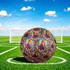 1pc Lion Jungle Theme Soccer Ball Football, Size 5, Lightweight PVC, Outdoor Training Soccer Ball,Sports Gift t61496