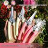 Horticulture Pruning Shears: Bonsai, Floral, and Grafting Scissors for Household and Garden Use