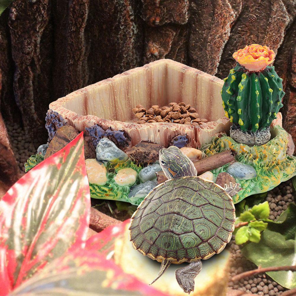 Reptile Pet Turtle Tortoise Lizard Feeding Water Bowl Plate with Cactus Home Decoration