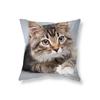 Cute Funny Black Cat Sofa Car Decoration Office Game Chair Cushion Cover Room Home Pillowcase