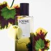 Loewe Essencia Elixir Eau De Parfum 50ml