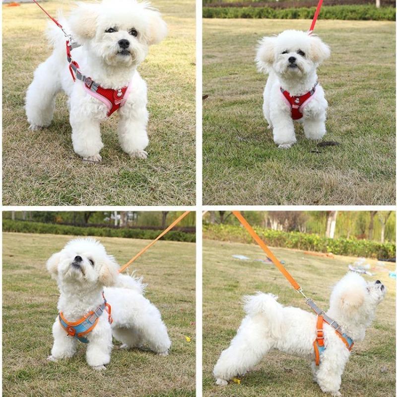 Dog Leash Vest, Small Dog Walking Leash, Cat Leash, Teddy Anti-break Reflective Chest Strap When Going Out