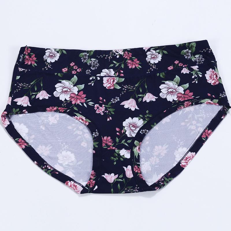 Women's Underwear Panties for Women Ladies Briefs for Everyday Wear