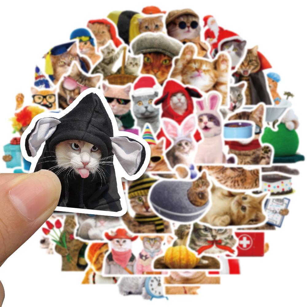 50PCS Cute Cat Stickers Vinyl Waterproof Funny Cats Decals for Water Bottle Laptop Skateboard Scrapbook Luggage Kids Toys