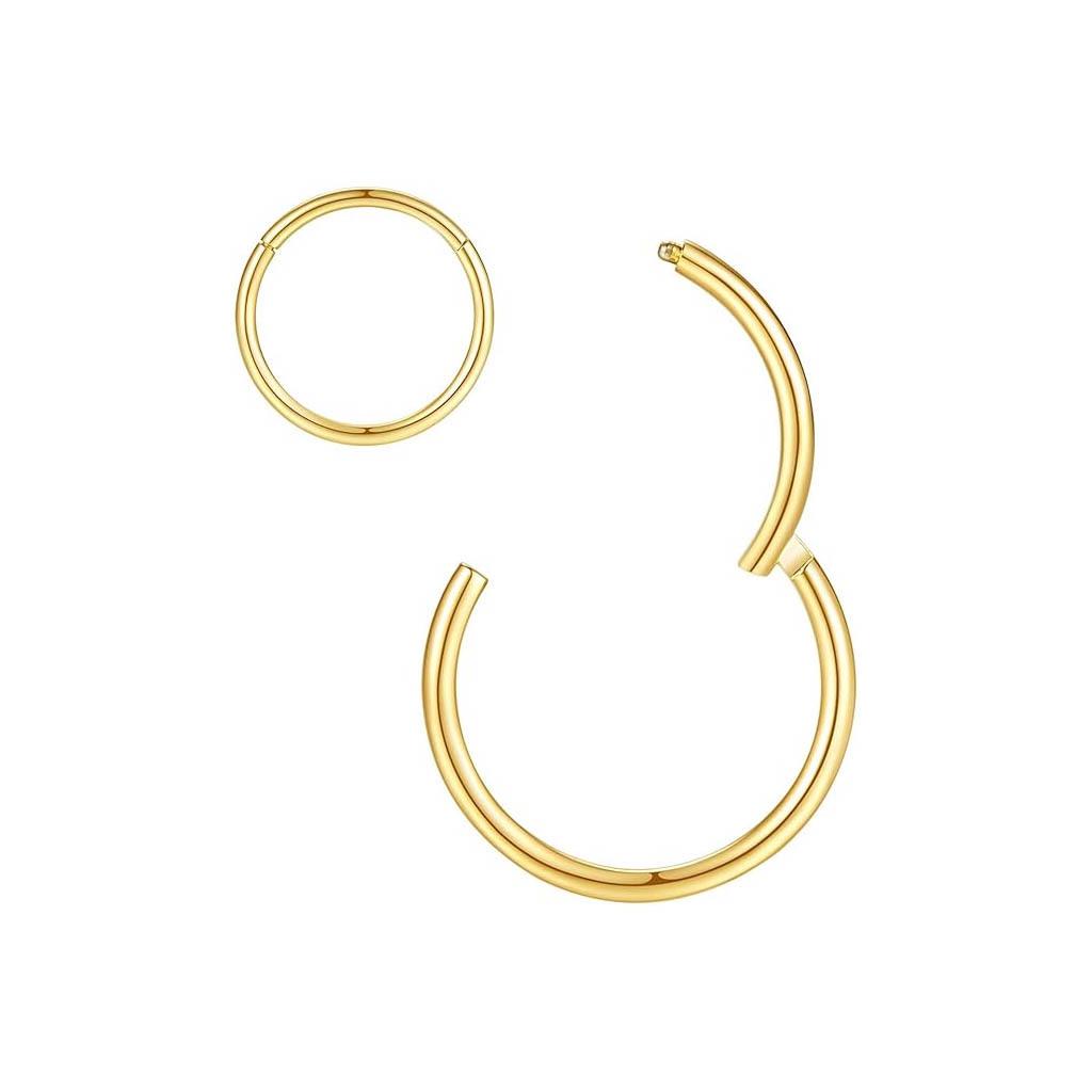 G23 Titanium Alloy Seamless Ring: Popular Closed Hoop Earrings, Nose Rings, and Cartilage Piercing Jewelry for Europe and America.