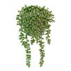 Plastic Artificial Succulent Plants Green Color Faux Succulents Wall Hanging Plants  Home Office