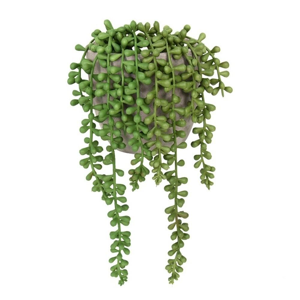 Plastic Artificial Succulent Plants Green Color Faux Succulents Wall Hanging Plants  Home Office
