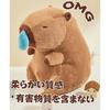 REDICE Capybara Plushie with Runny Nose [2026 New Material] Soft, Skin-Friendly 22cm/33cm/45cm Cute & Healing (23cm)