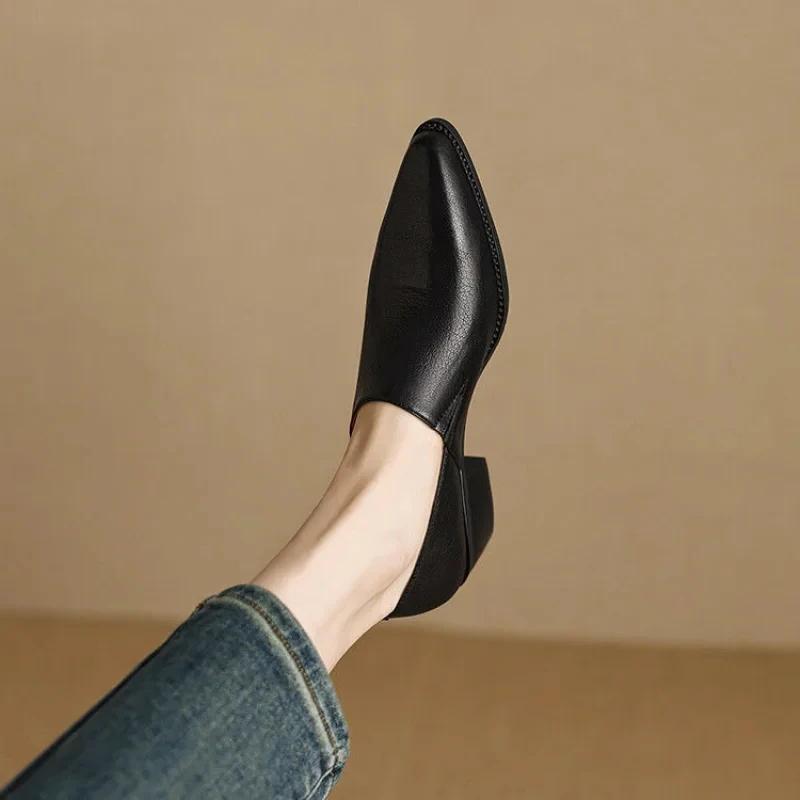 Fashion Single-shoe Girls Spring and Autumn New Thick-heeled Pointy Retro Small Leather Shoes Women's Shoes With
