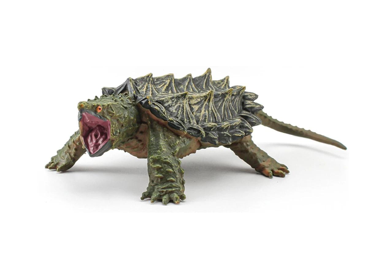 

1Pcs Realistic Amphibian Reptile Model Creative Home Toys Crafts Freshwater Turtle Alligator Snapping Turtles Toy Figurine