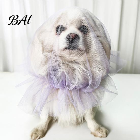 Comfortable Dog Bathing Mask Face Mesh Net, Anti Eating Pet Headgear, Breathable Adjustable Fashionable Headwear for Training Head Cover Small Medium