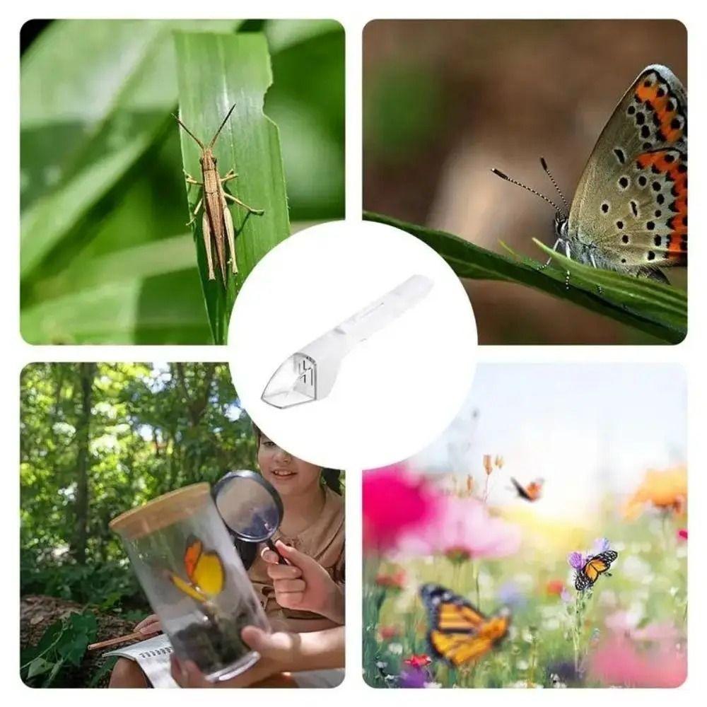 Clear Window Bug Box Container Quick-Release Insect Collection Kit Bug Catching Tool  Outdoor