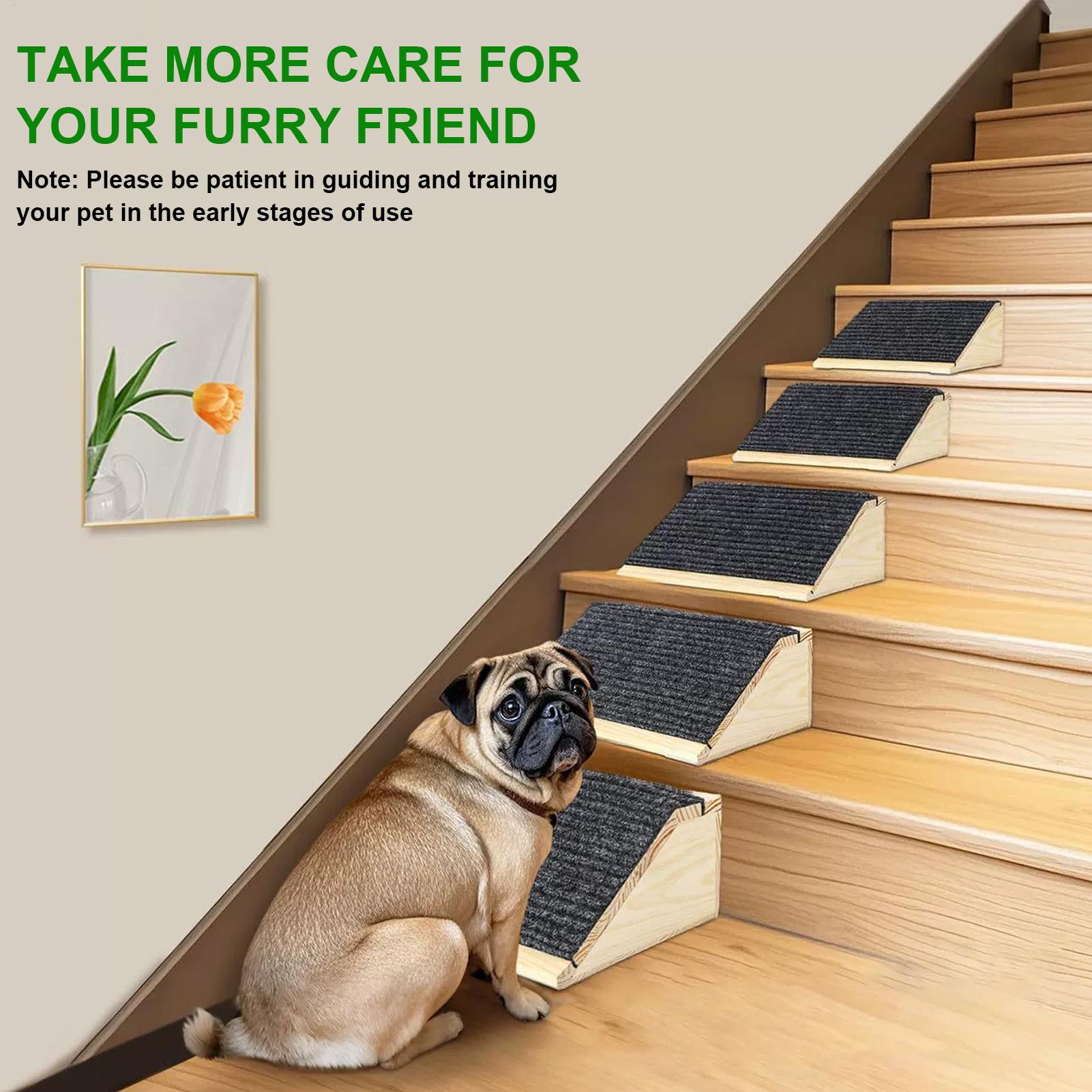 Dog Ramp Portable Injured And Older