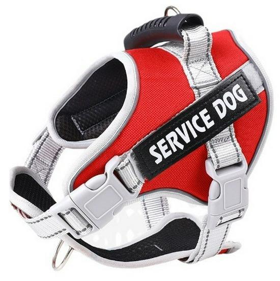 Reflektierende Atmungsaktive Hundeleine & Geschirr - Explosionsgeschütztes Design