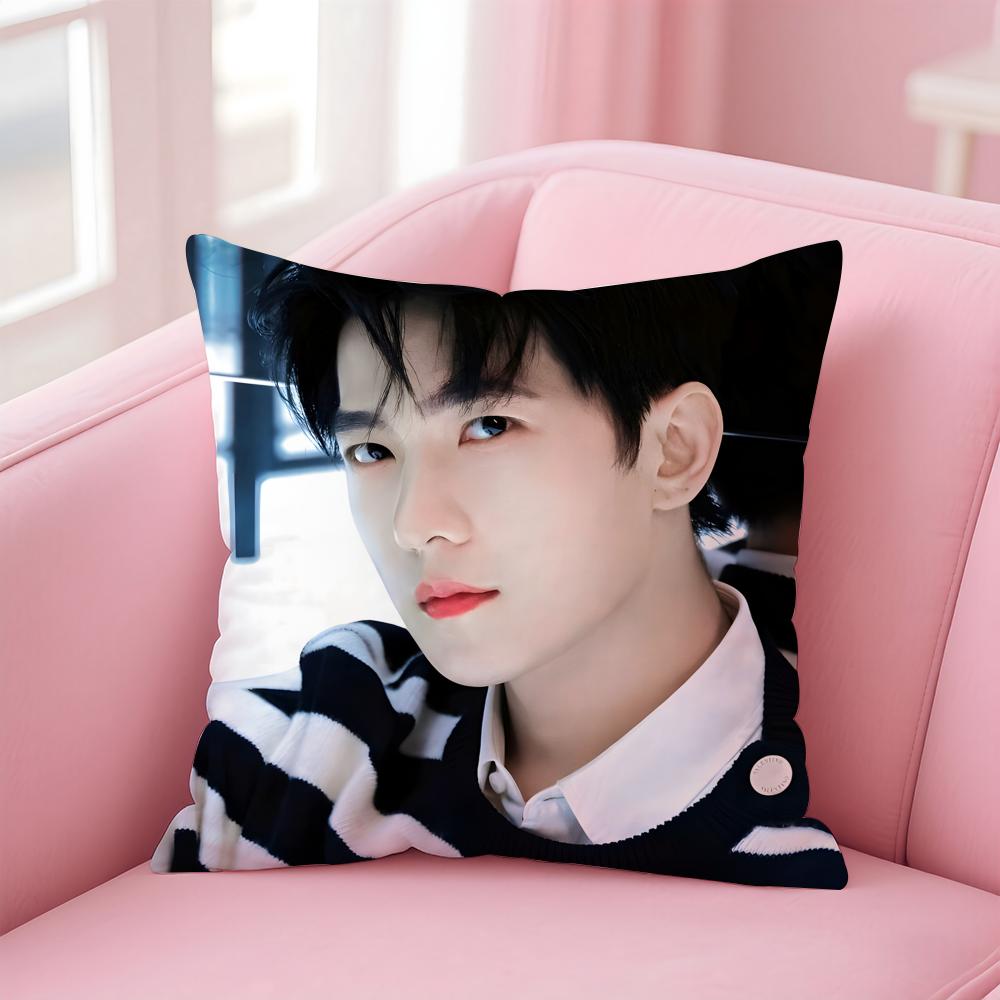 actor handsome YYang Yang Cushion Cover Pillow Case Soft Skin Friendly Fabric  Concealed Zipper