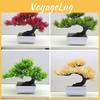 Simulated Scotch Changpai Pine Thuja Sutchuenensis Artificial Green Plant Bonsai