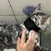 Pet Grooming Suction Cup Holder Adjustable Dog Bathing Restraint Loop Leash for Dogs And Cats Nail Trimming Shower Bathing