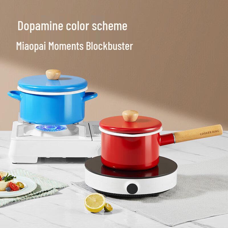 COOKER KING Enamel Milk/Soup Pot