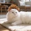 Dog Cosplay Wig Funny Cat Wig with Adjustable Elastic Band Big Wavy Short Curls Pet Afro Hair for Christmas Parties Dress-up