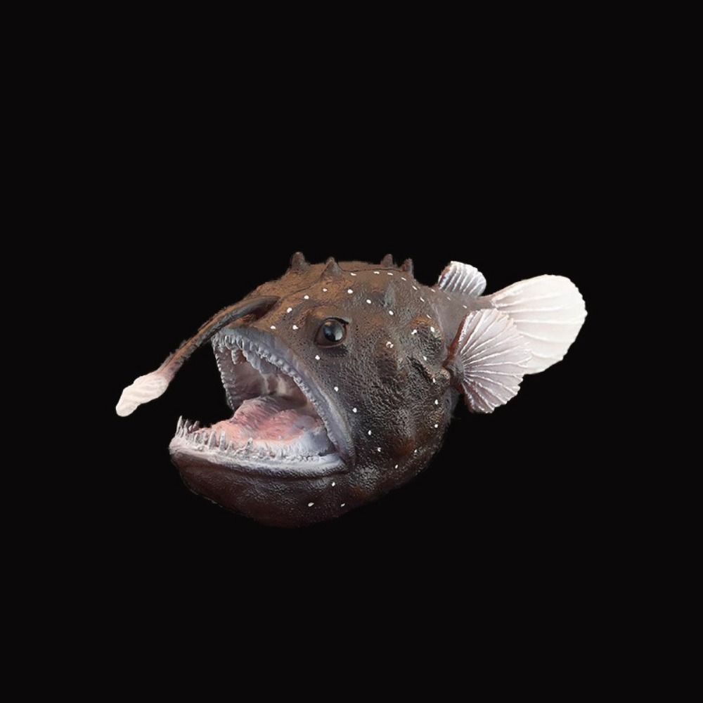 Educational Marine Animal Models Simulation Ocean Animal Simulation Ocean Animal Model  Kids Gifts