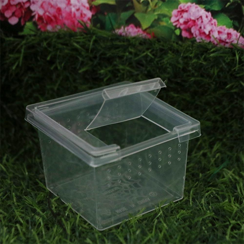 1PC Household Plastic Reptile Accessories Transparent Reptile Habitat Lizard Living Box Insect Feeding Box Hatching Tank