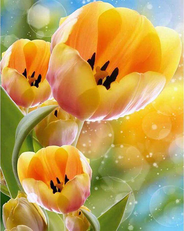 5d diamantové vyšívací květiny Sada křížových stehů Diamantový lakovací závod Plný čtverec Obrázek štrasové mozaiky Home Decor