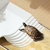 Dry Wet Separation Turtle Tank Transparent Crab Tank Habitat Box Turtle Breeding Box  Amphibians