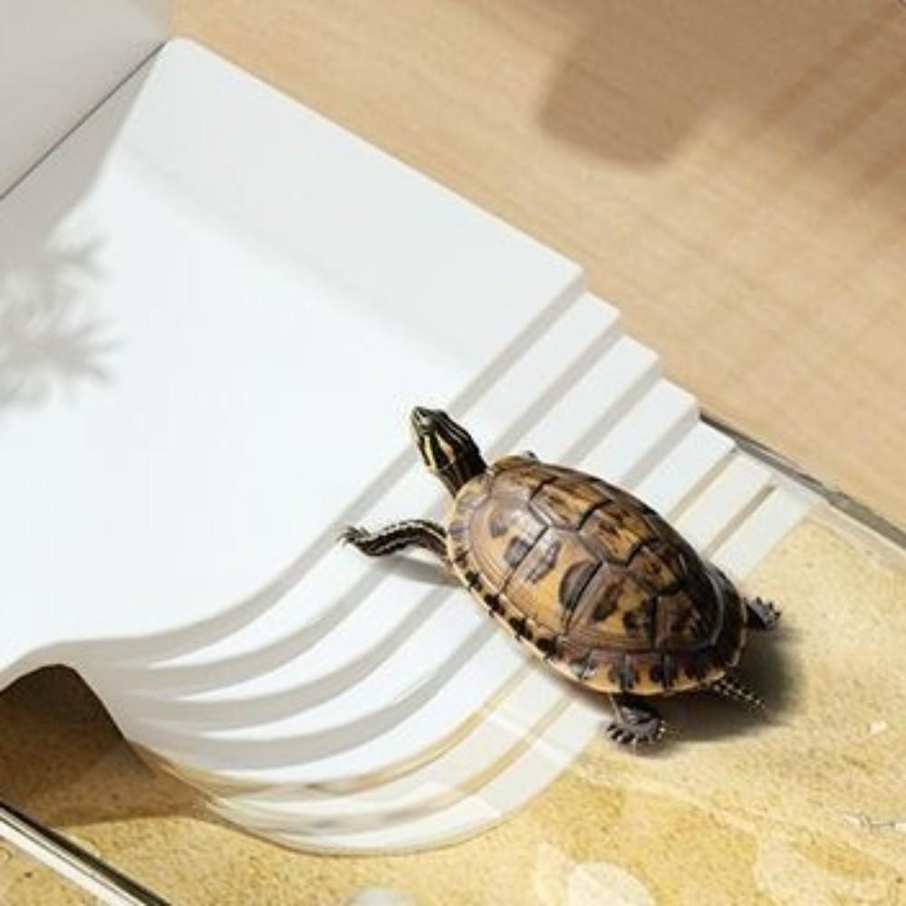 Dry Wet Separation Turtle Tank Transparent Crab Tank Habitat Box Turtle Breeding Box Amphibians