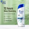 Head & Shoulders Anti-Dandruff Shampoo