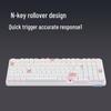 Rapoo V500PRO-98 Wired Mechanical Gaming Keyboard