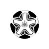 Newcastle United FC Mini Myk Fotball