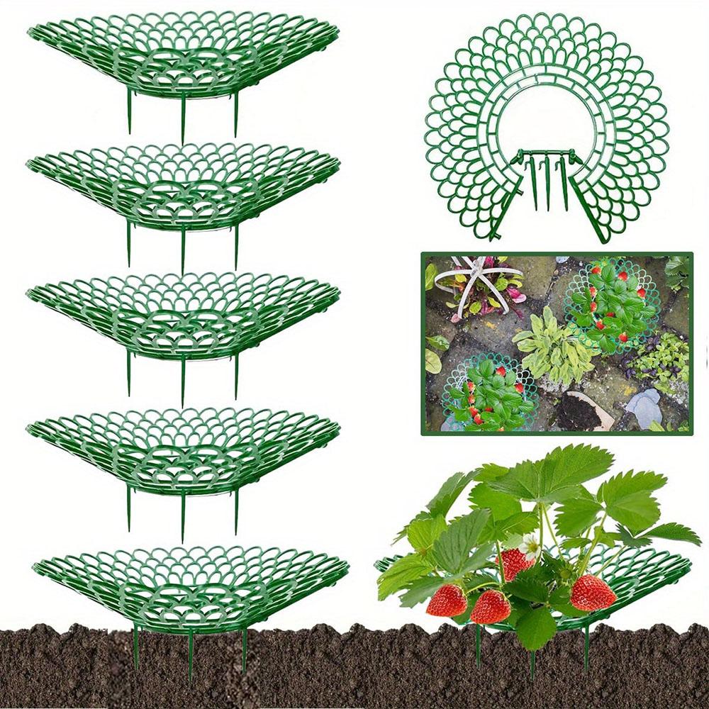 Erdbeerpflanzen-Stütze mit 3 stabilen Füßen, Gartenblumen-Frucht-Gemüse-Wachständer, Pflanzenständer-Schutz für Balkon & Außenbereich, Gartenzubehör