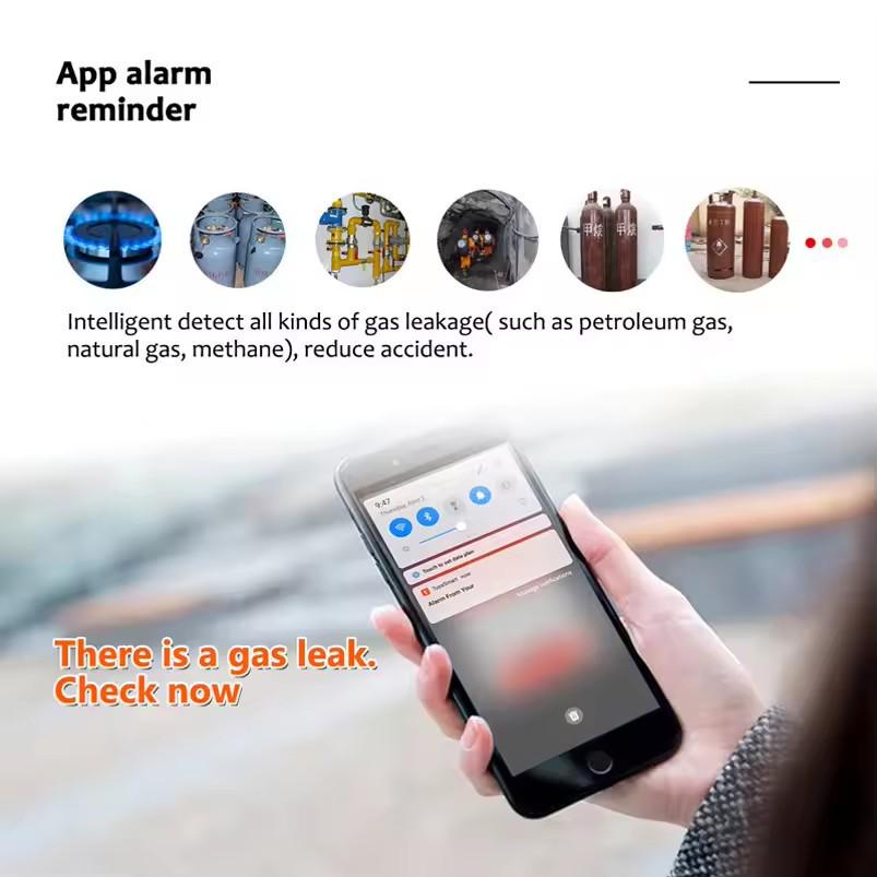 Graffiti Air Sense WiFi Gas Leak Detector: Natural Gas, Methane, Biogas Alarm with Temperature Sensing and TUYA Integration.