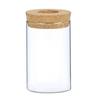 Mini Glass Flower Pot for Indoor Plants - Hydroponic Ornament with Moss Landscape