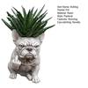 Lustiger Bulldogge Blumentopf Neuheit Mittelfinger Hund Blumenkübel Niedliche Hundegartenstatue für Außen Innen Garten Büro Schreibtisch Dekoration