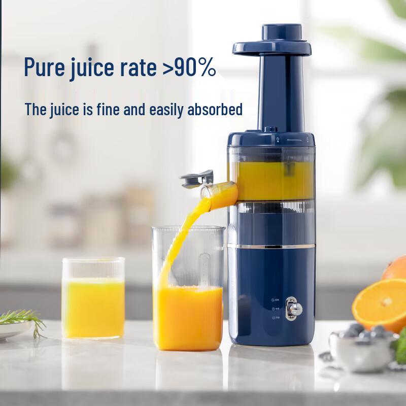 Morphy Richards Slow Juicer MR9901