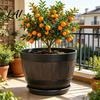 Aerated Soil Planter Flowerpot with Built-In Drainage System Rustic Style Garden Container