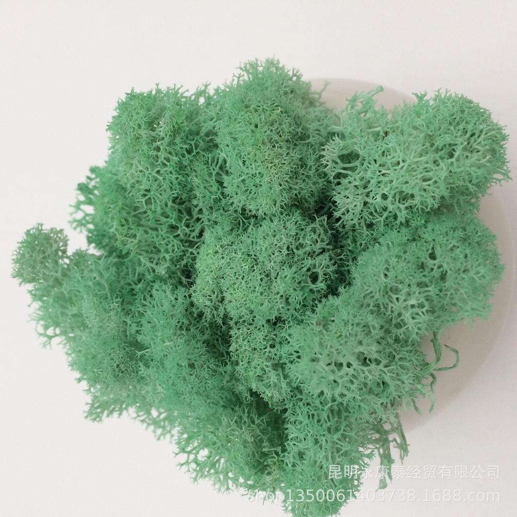 Handmade Artificial Plants Preserved Moss Simulation Fake Plant Garden Decor Landscape Wall Decor Home Decoration Accessories Gifts