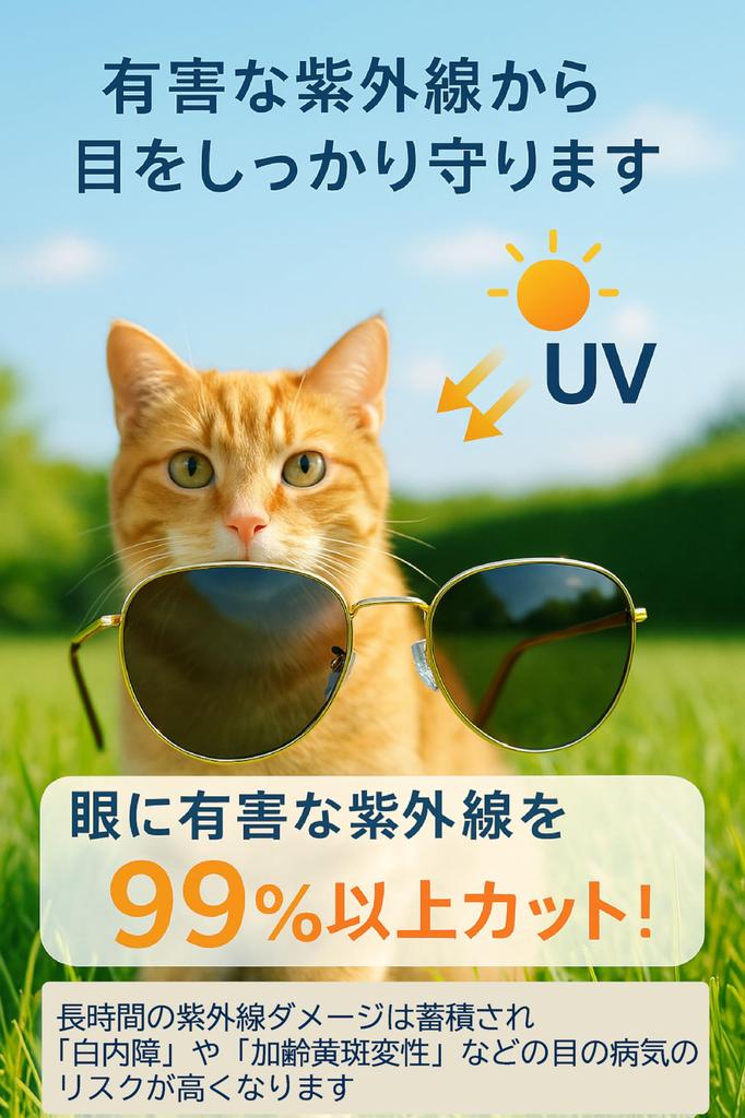 Face Trick Sabae Planning UV and Blue Light Blocking and Soft and Lightweight TR Material Clear Glasses, Men's Women's Sunglasses, Temples,