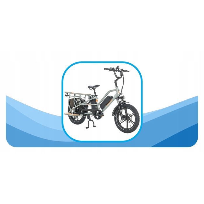 Vélo cargo électrique - JOBOBIKE - Transer - 250 W - Batterie 15 Ah - Vitesse 25 km/h - Gris