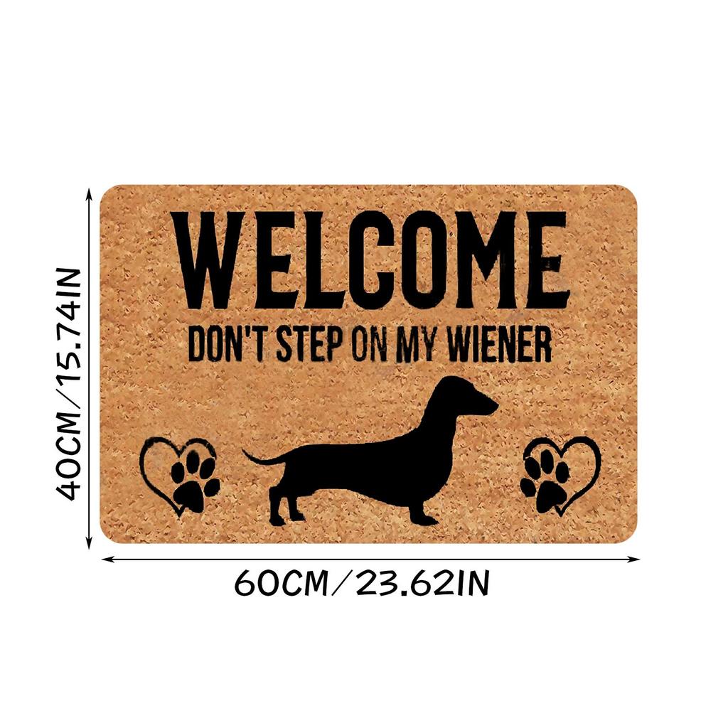 Non- Door Mat, Indoor And Outdoor Carpet, Home Welcome Mat