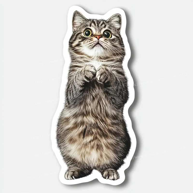 Funny Cat Animal Car Sticker Cartoon Waterproof Styling Automobiles Motorcycle Exterior Accessories Vinyl Decals Y211