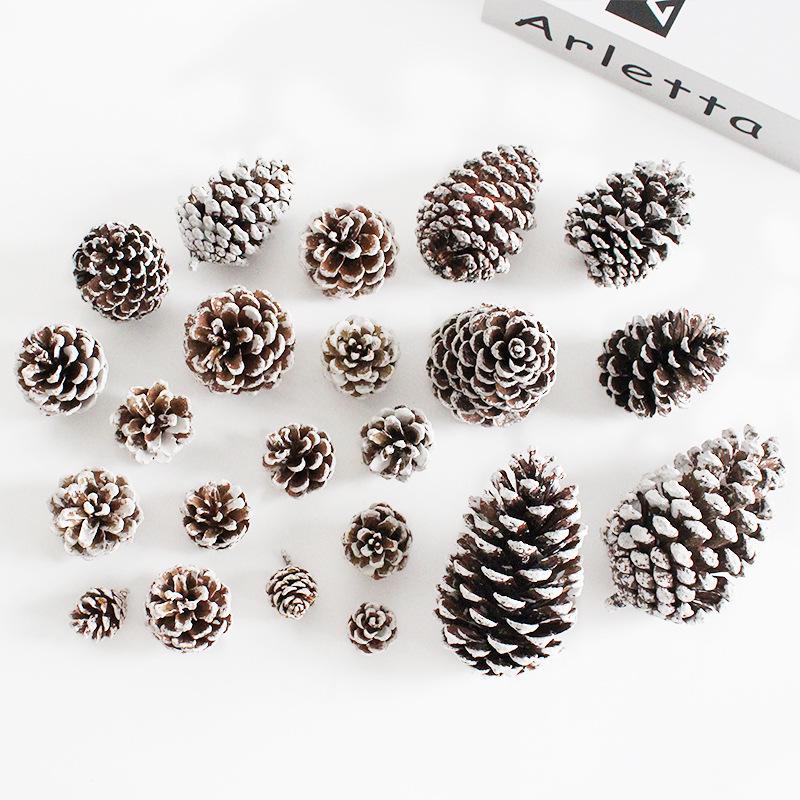 DIY Christmas Tree Decor: Bleached Pine Cones & Dried Flowers with Cedar and American White Pine Cones