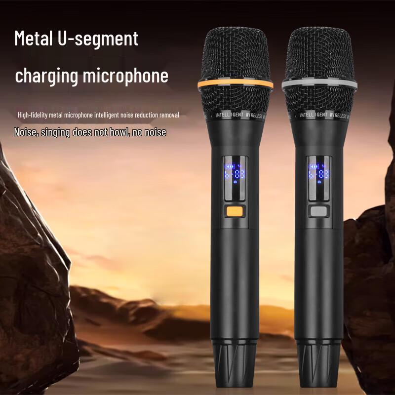 KaYouLa LG-60 Portable Outdoor Karaoke Bluetooth Trolley Speaker CN Plug (adapter Included)