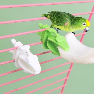 Kuş – Besleme ve Sulama Malzemeleri