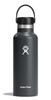 Hydro Flask HYDRATION 18oz 532ml Standard Mouth Stone