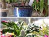 Smart Plant Soil Moisture & Humidity Meter for Horticulture