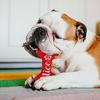 Santa Claus Cat Toy Christmas Dog Toys For Aggressive Chewers Bite-Resistant Teeth Cleaning Squeaky Plush Toy Boredom Relief